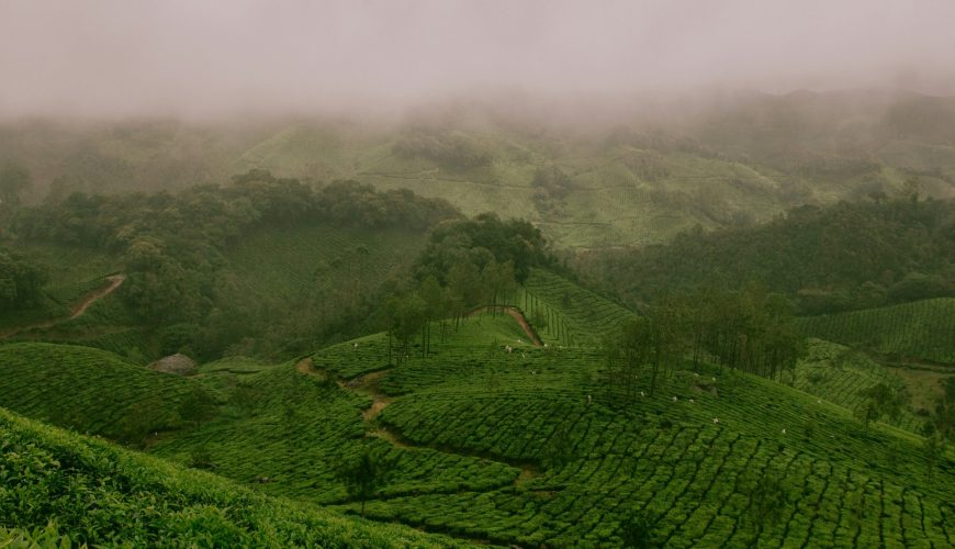 Kerala with Jatayu 06 Nights 07 Days